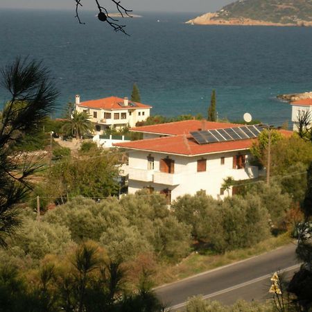 Kedros Hotel Samos Island Dış mekan fotoğraf