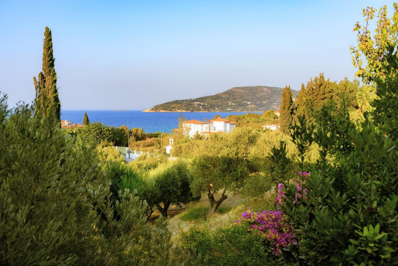 Kedros Hotel Samos Island Dış mekan fotoğraf